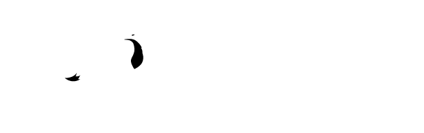 exp-fox-bk